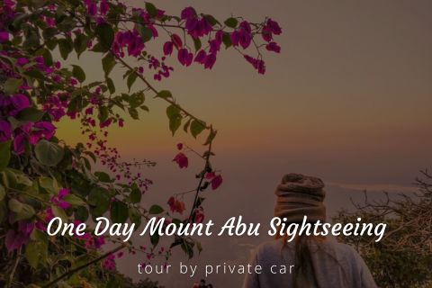 One Day Mount Abu Sightseeing Tour Package by Cab